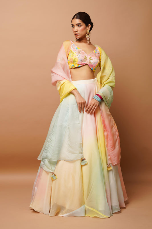 Rainbow Hand Painted Lehenga Set Image 1